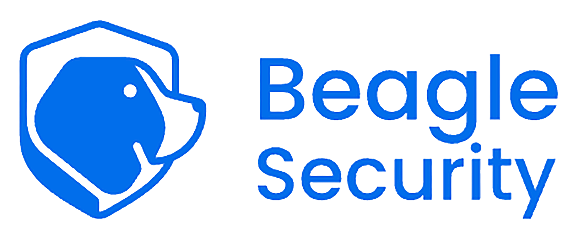 Beagle Security OWASP Security Testing